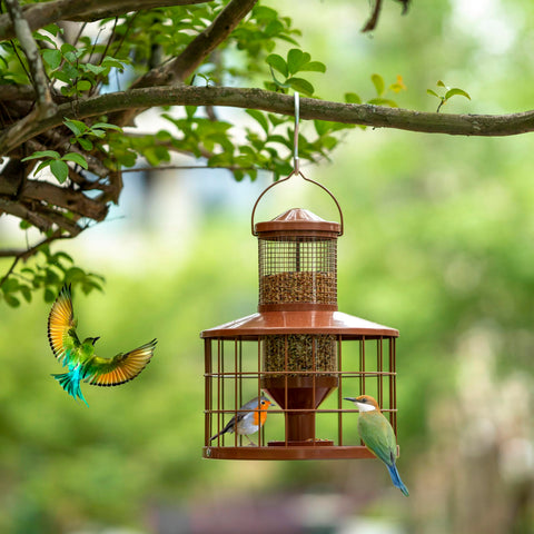Mosloly caged bird feeder clear tube shows seed level at a glance.
