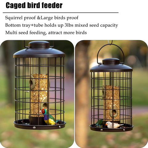 Mosloly durable metal cage with weather shielded seed dome lid.