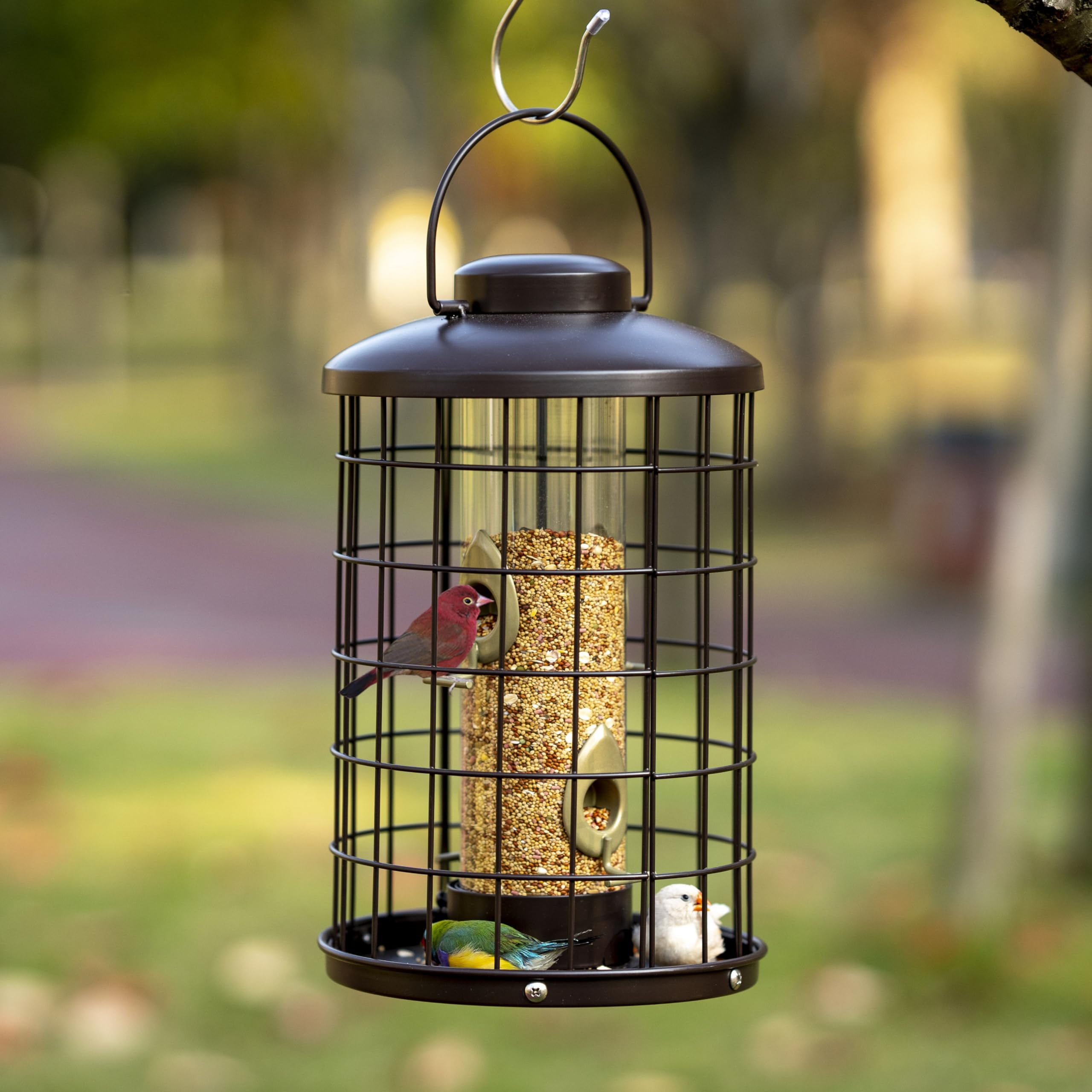 Mosloly feeder showing four feeding ports for multiple birds simultaneously.