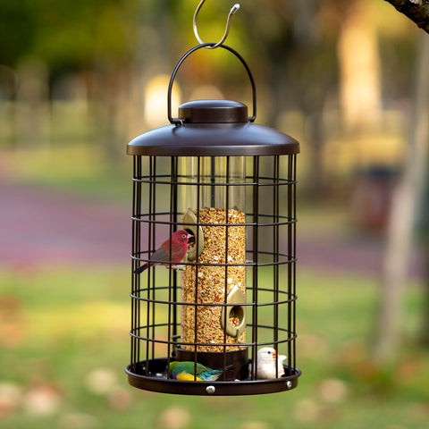 Mosloly feeder showing four feeding ports for multiple birds simultaneously.