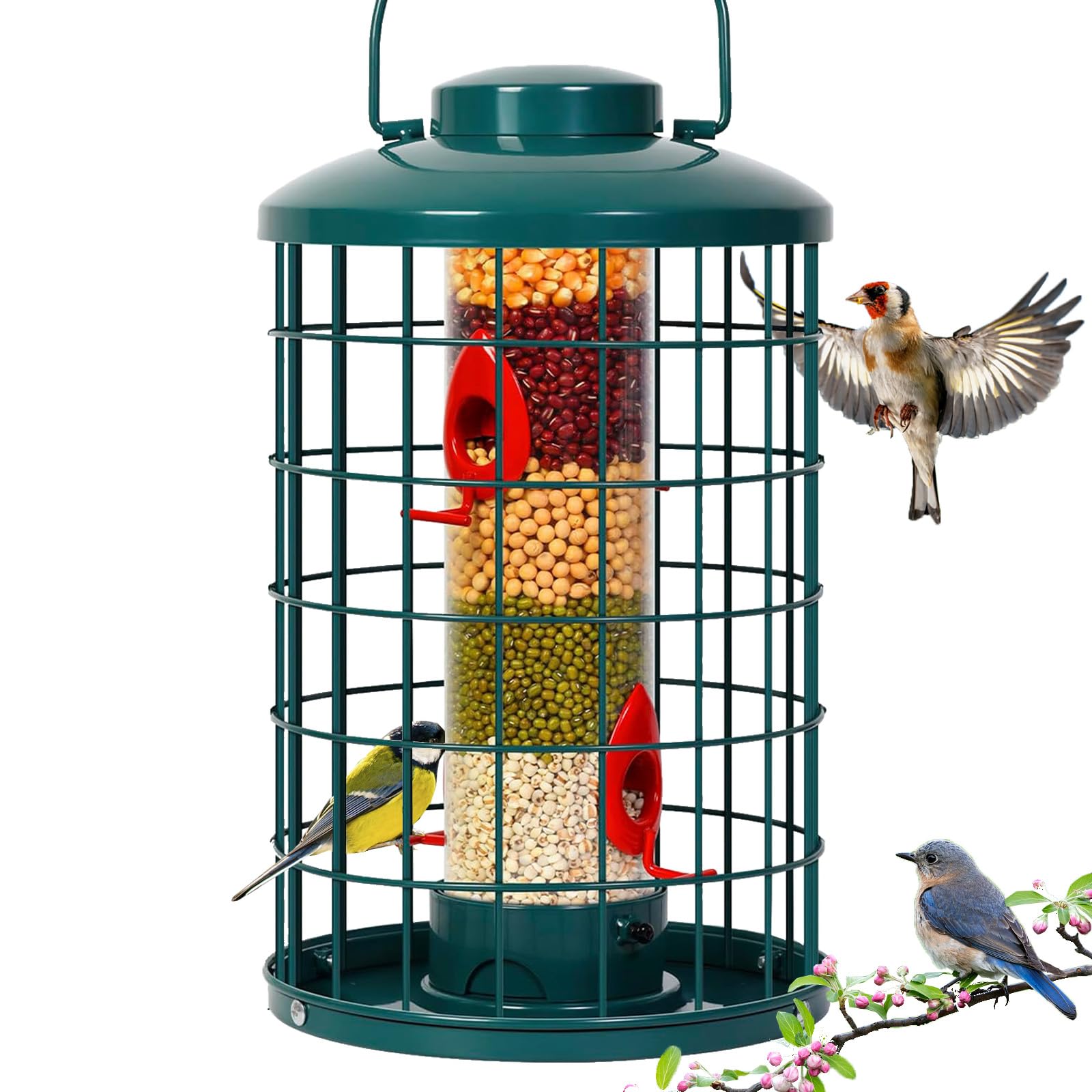 Mosloly caged bird feeder front view in green attracts wild birds to your garden.
