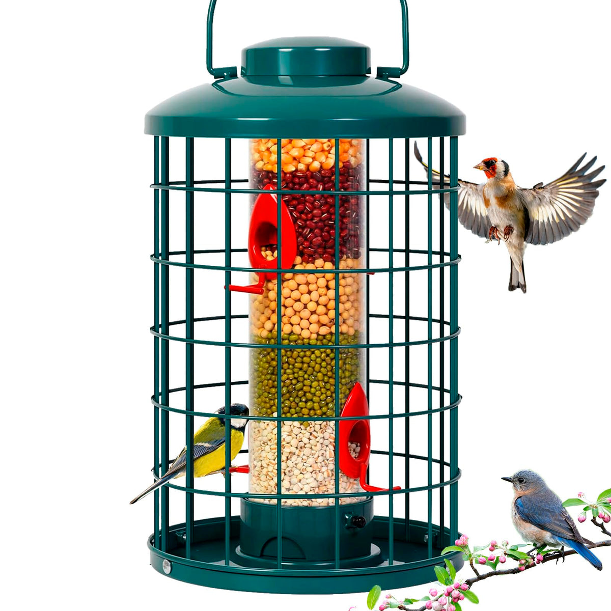 Mosloly caged bird feeder front view in green attracts wild birds to your garden.