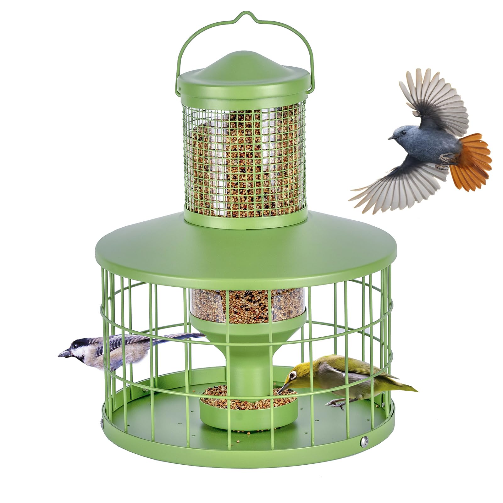 Mosloly caged bird feeder green front view attracts small birds with a clear seed tube.