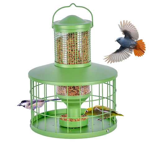 Mosloly caged bird feeder green front view attracts small birds with a clear seed tube.