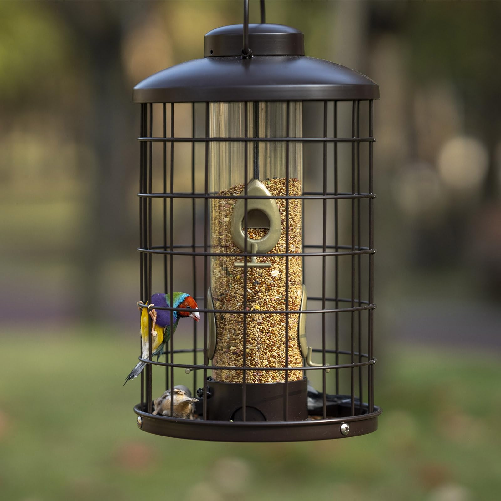 Mosloly hanging outdoor feeder suitable for patios and gardens.