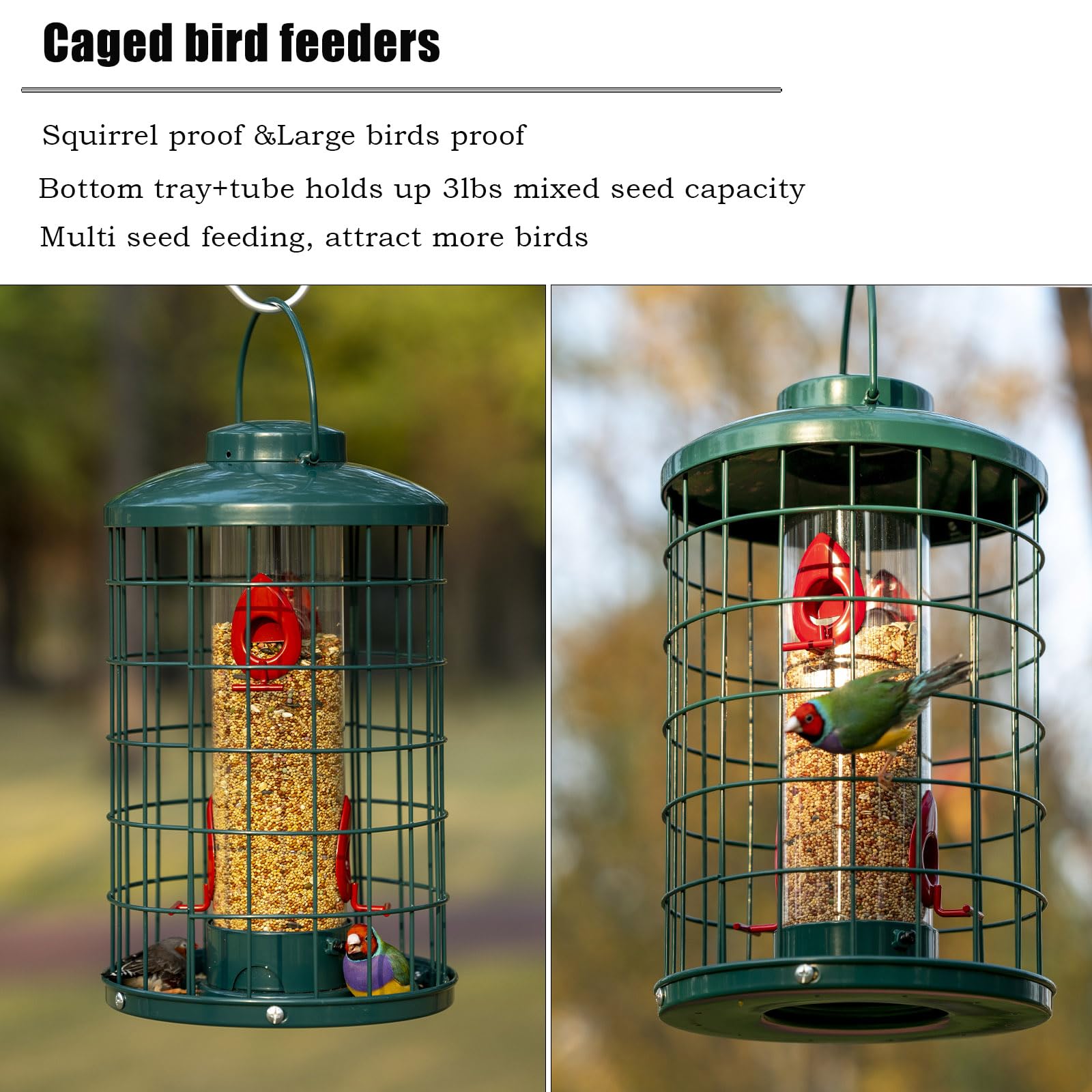 Mosloly caged bird feeder side view highlights durable metal construction for year-round use.