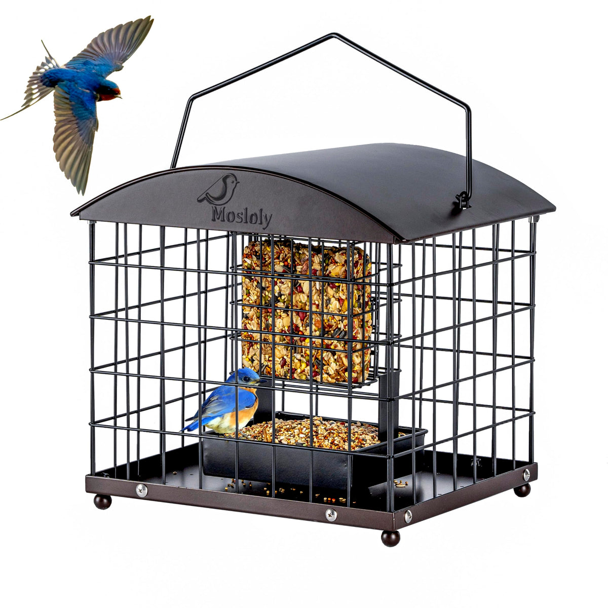 Mosloly caged suet feeder front view with copper finish and dual capacity for birds