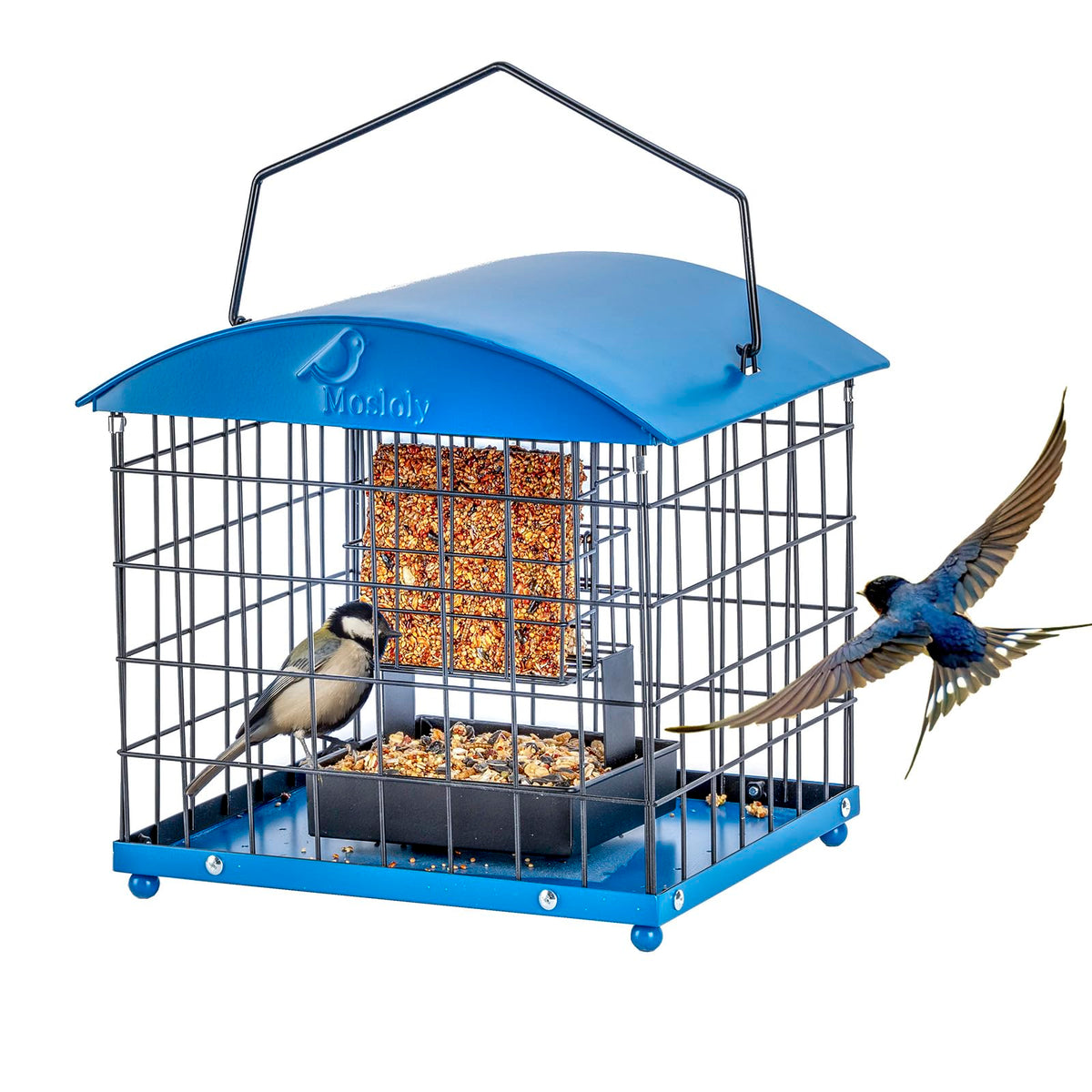 Mosloly caged suet feeder front view showing squirrel-proof protection for small birds