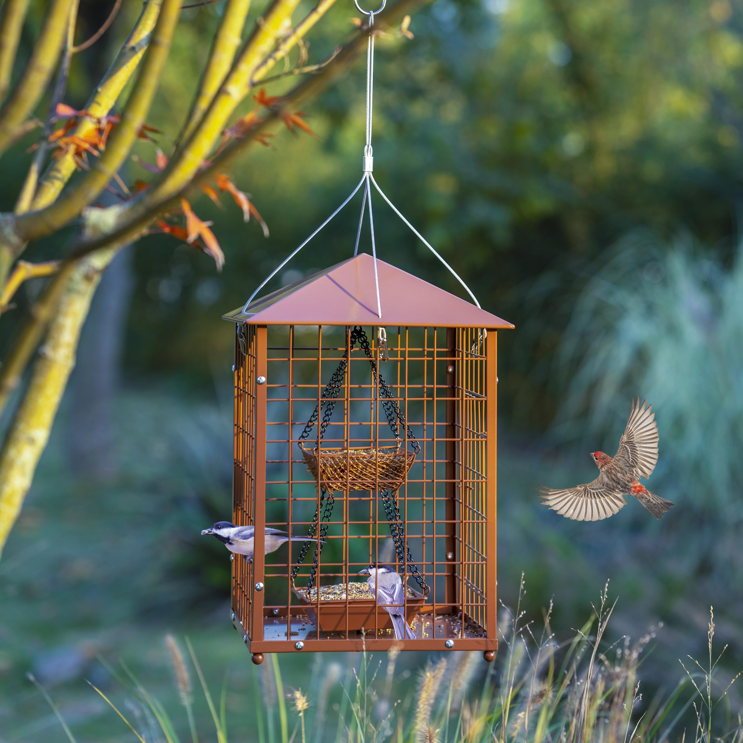 Mosloly DIY assembly feeder allows easy setup and cleaning.