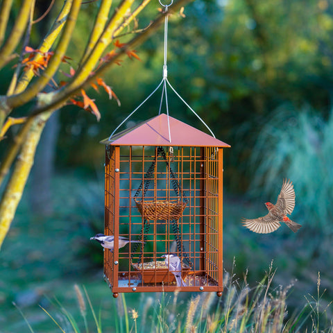 Mosloly DIY assembly feeder allows easy setup and cleaning.