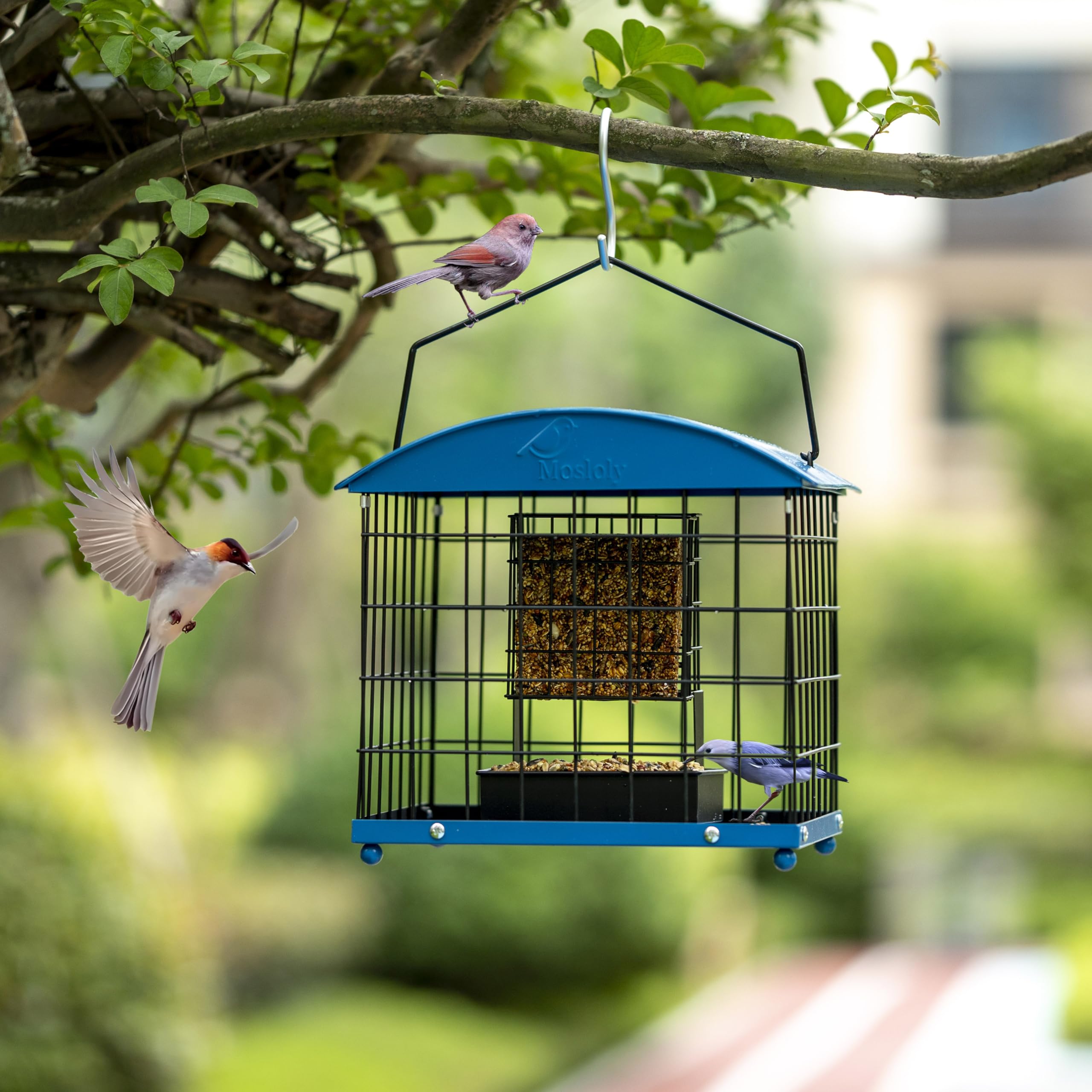 Mosloly dual-purpose feeder with seed tray ready for outdoor use