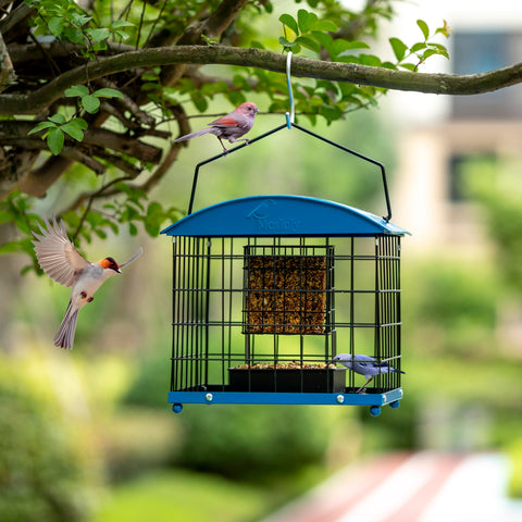 Mosloly dual-purpose feeder with seed tray ready for outdoor use