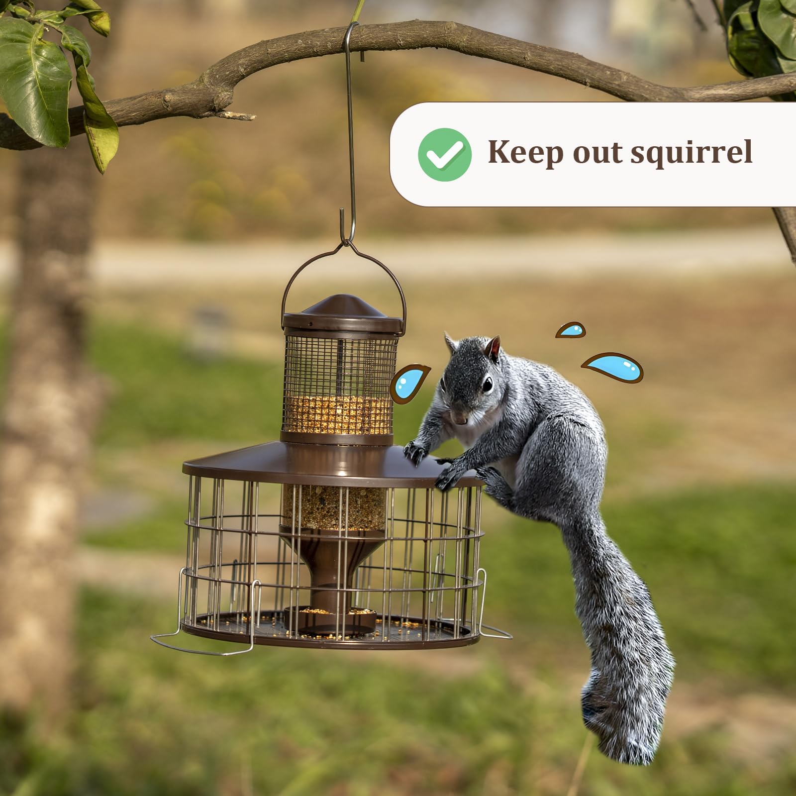 Mosloly extended aluminum perches provide secure landings for longer visits.