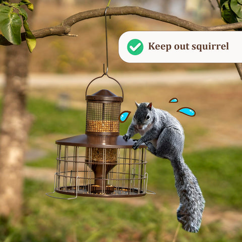 Mosloly extended aluminum perches provide secure landings for longer visits.