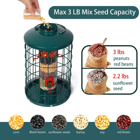 Mosloly four-port tube demonstrates easy feeding for several birds simultaneously.