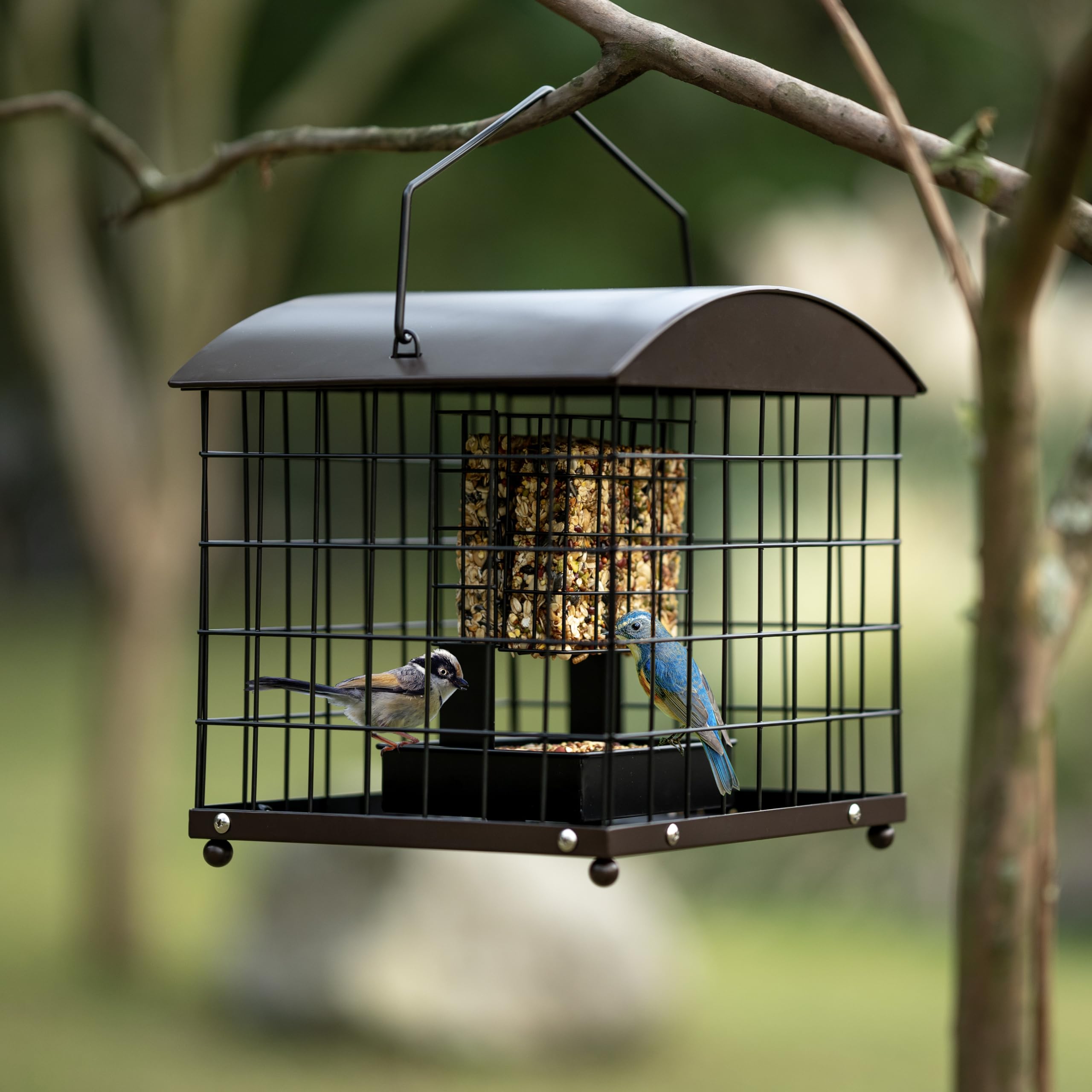 Mosloly gift-worthy cardinal-friendly feeder in copper inspires backyard visits