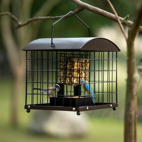 Mosloly gift-worthy cardinal-friendly feeder in copper inspires backyard visits