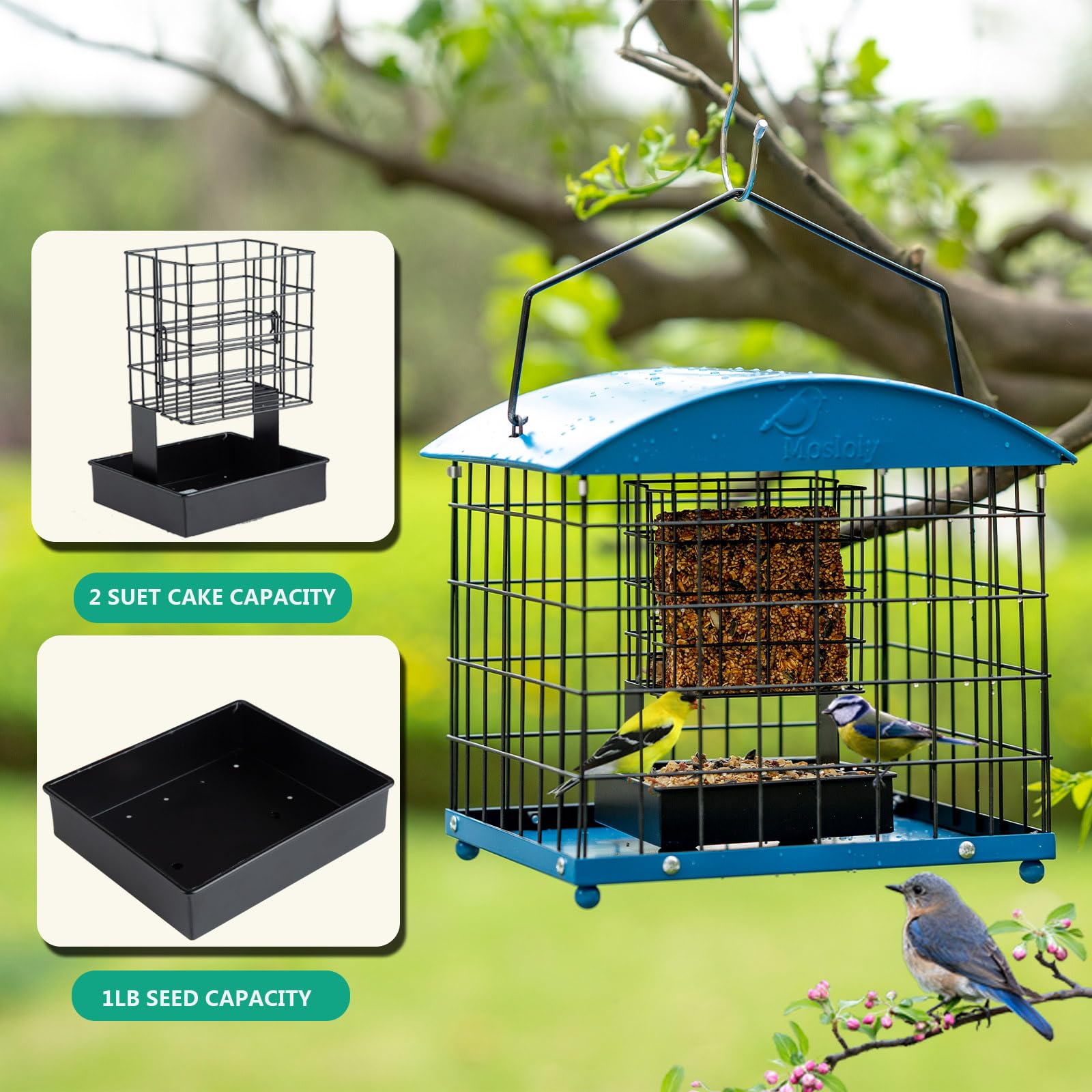 Mosloly lid protecting suet and seed from rain and snow