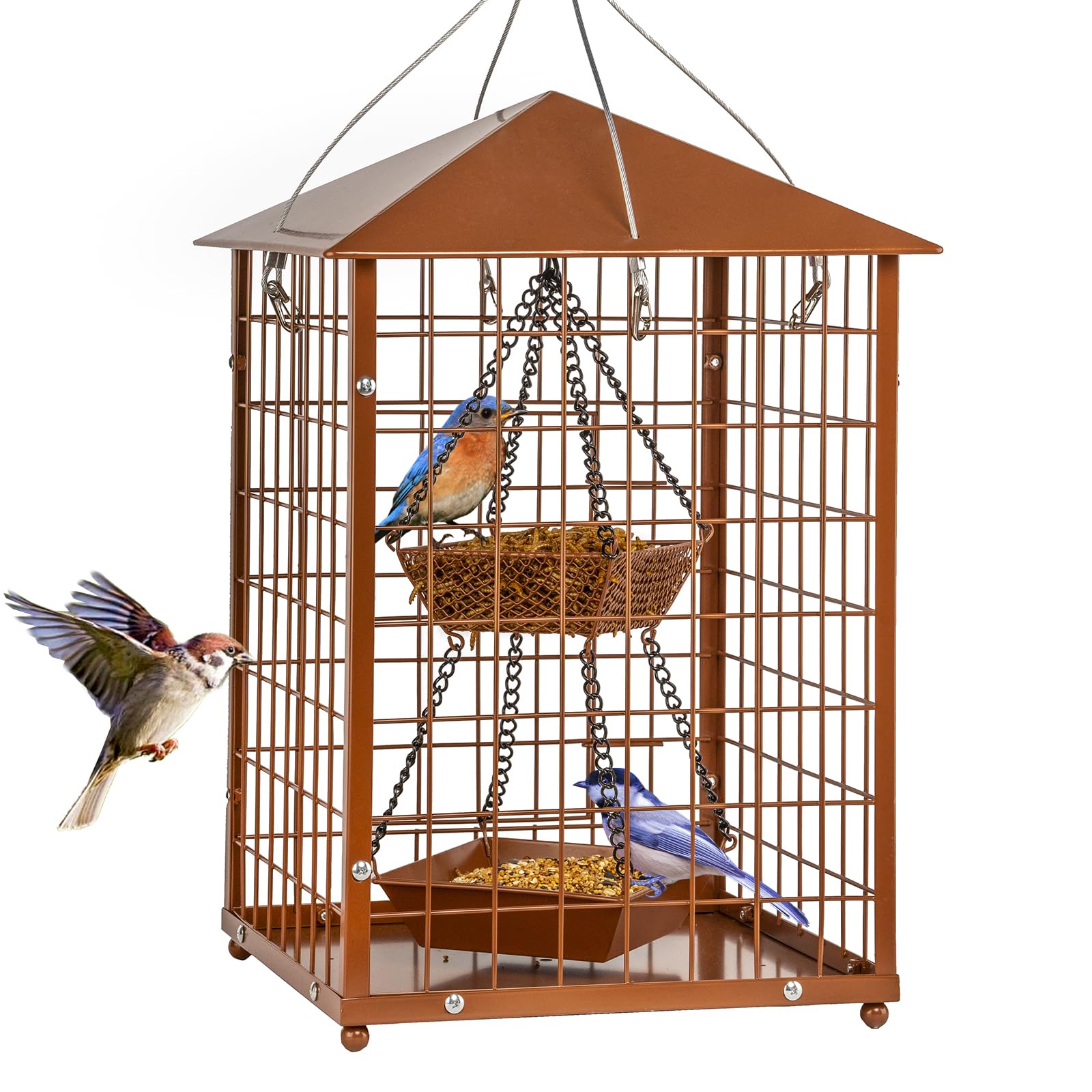 Mosloly Mealworms Bird Feeder with metal cage deters larger birds and squirrels.