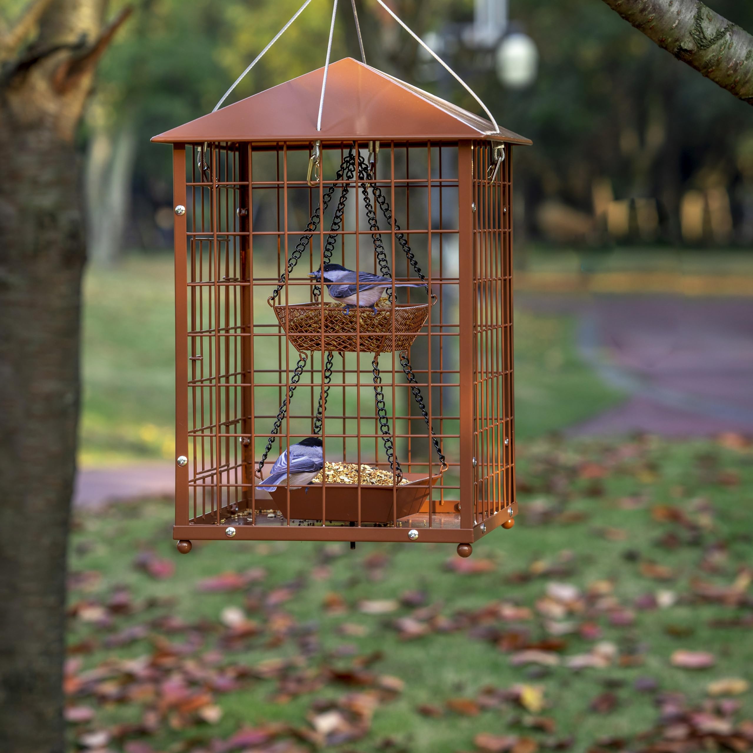 Mosloly mealworms cup feature adds ready-to-feed protein for insect-loving birds.