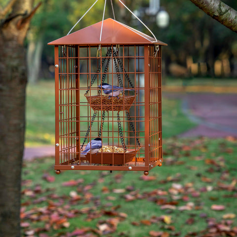 Mosloly mealworms cup feature adds ready-to-feed protein for insect-loving birds.