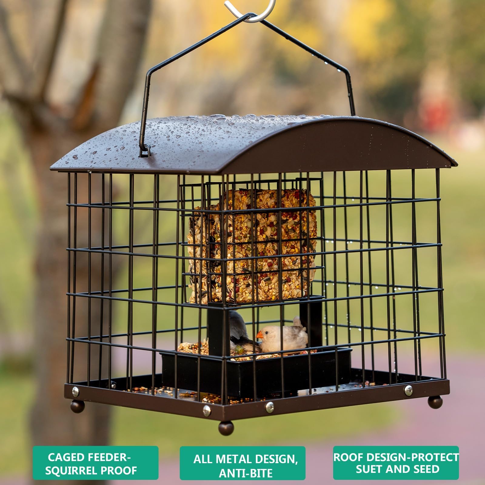 Mosloly metal cage durability highlights weather resistance for year-round use