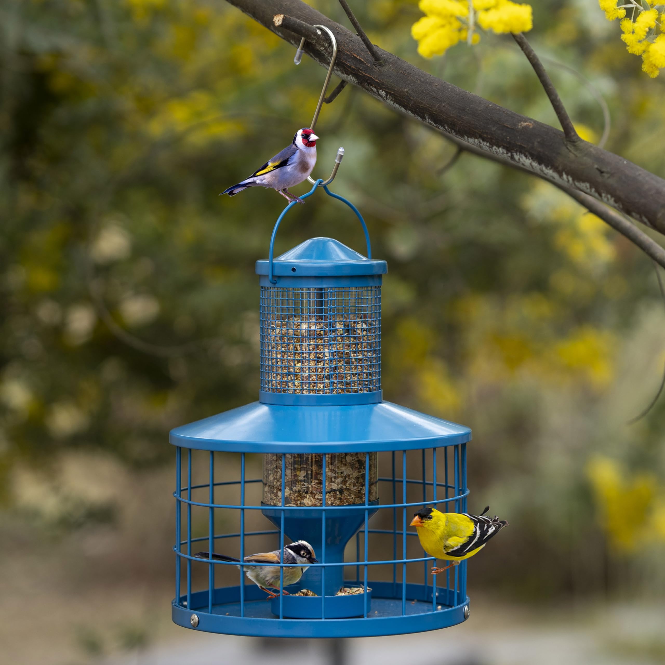 Mosloly outdoor hanging bird feeder attracts yard birds