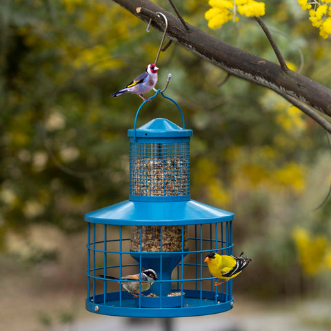 Mosloly outdoor hanging bird feeder attracts yard birds