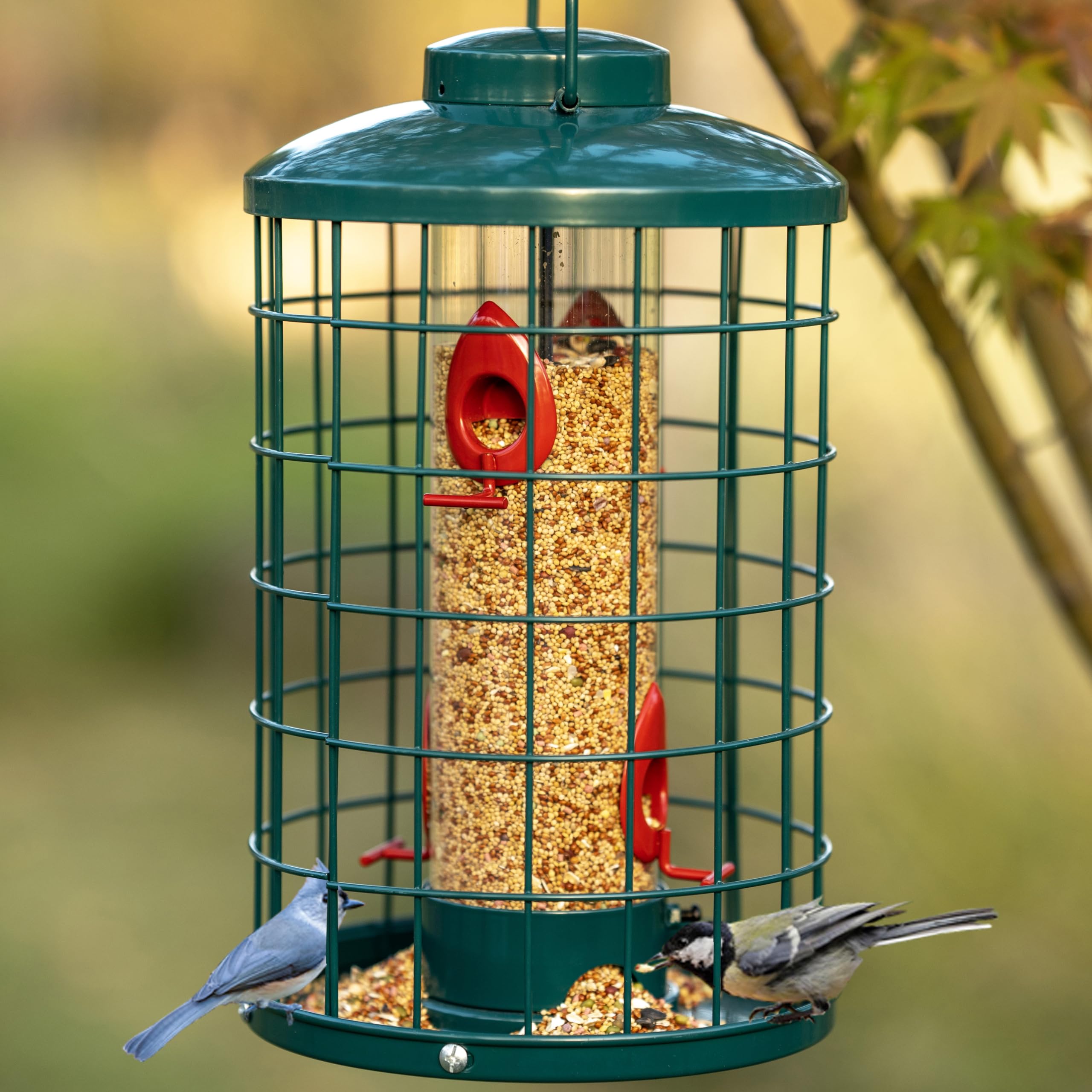 Mosloly outdoor-hanging setup shows convenient garden installation.