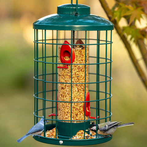 Mosloly outdoor-hanging setup shows convenient garden installation.