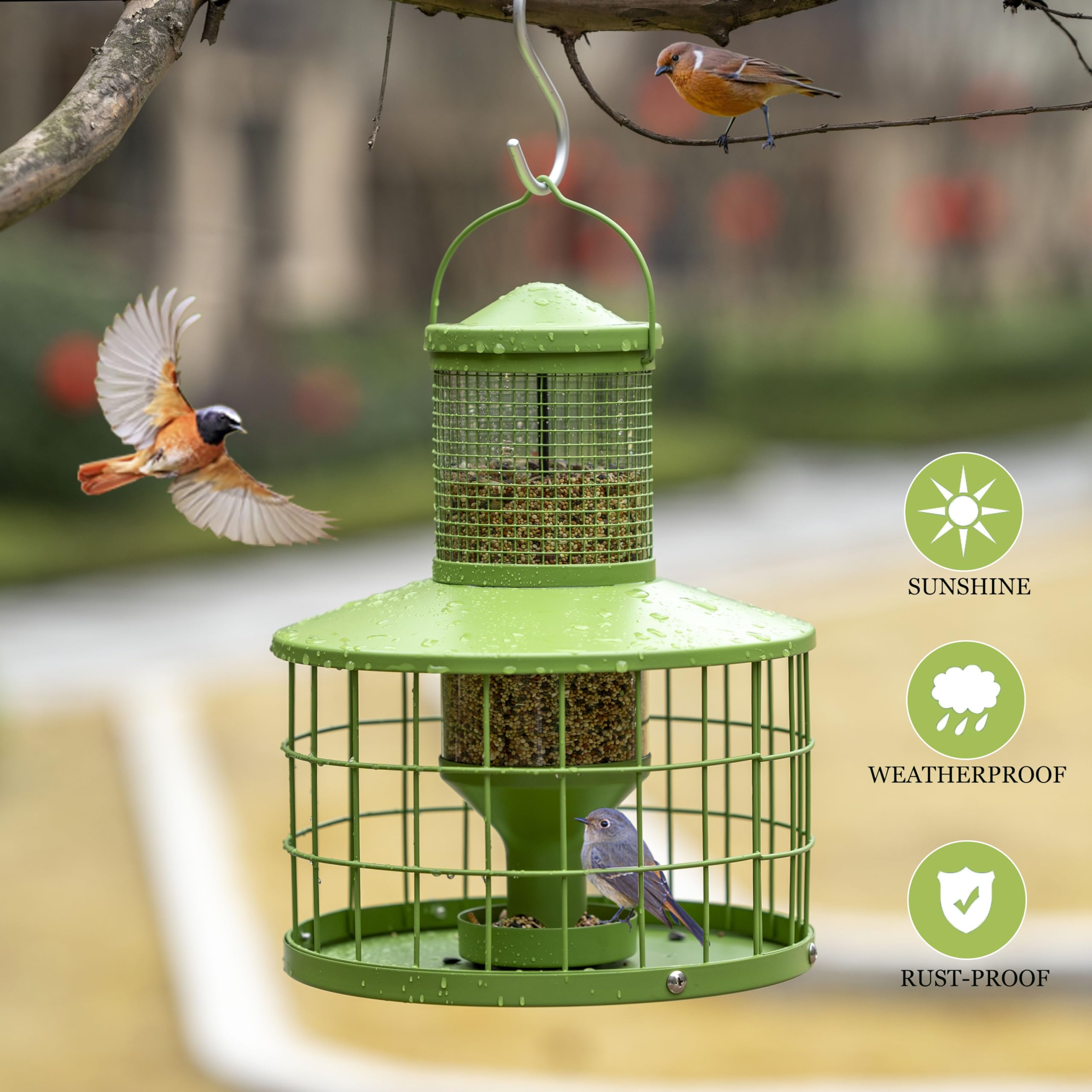 Mosloly squirrel-proof cage feeder close-up showing secure mesh keeps larger pests out.