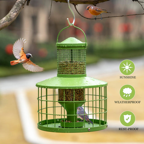 Mosloly squirrel-proof cage feeder close-up showing secure mesh keeps larger pests out.