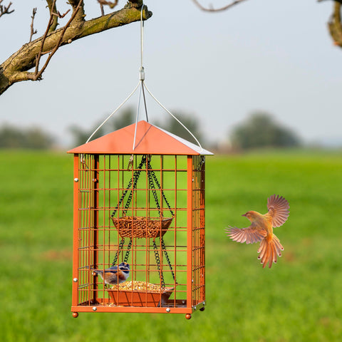 Mosloly squirrel-proof feeder for outdoors helps protect seed while welcoming bluebirds.
