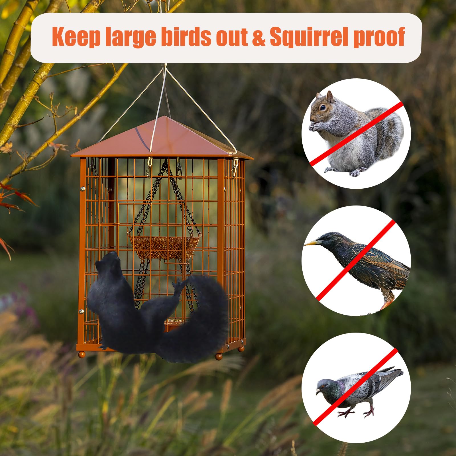 Mosloly two-cups seed capacity plus mealworms cup supports diverse diets.