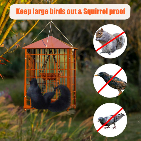 Mosloly two-cups seed capacity plus mealworms cup supports diverse diets.