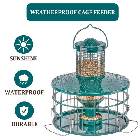 Clear 3 lb capacity tube with seeds visible in Mosloly feeder