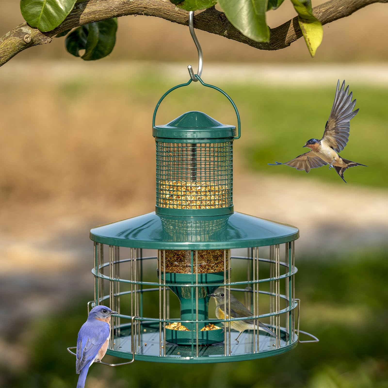 Perches extend beyond the cage for secure bird landings