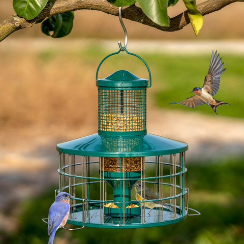 Perches extend beyond the cage for secure bird landings