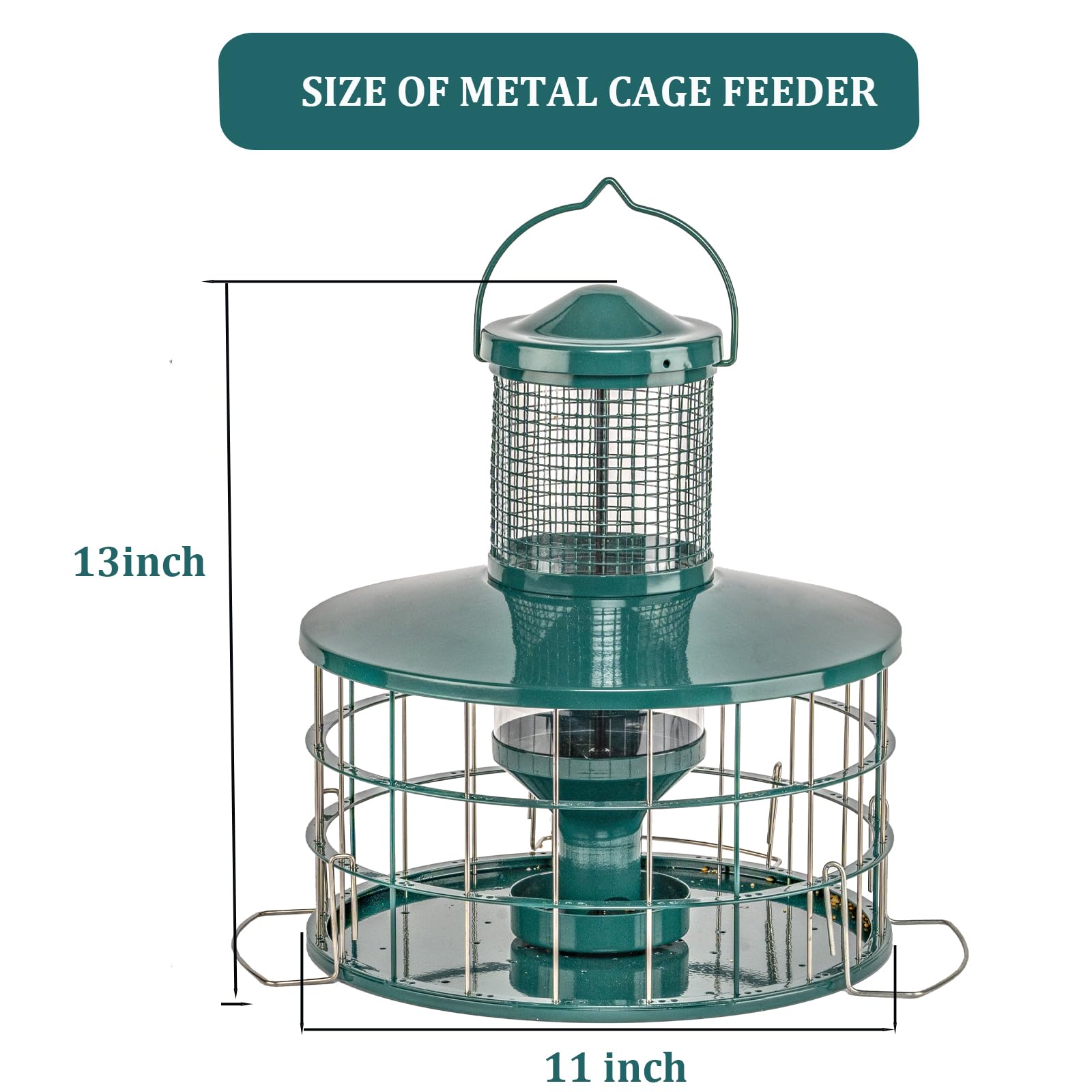 Backyard sanctuary: multiple birds visiting Mosloly feeder