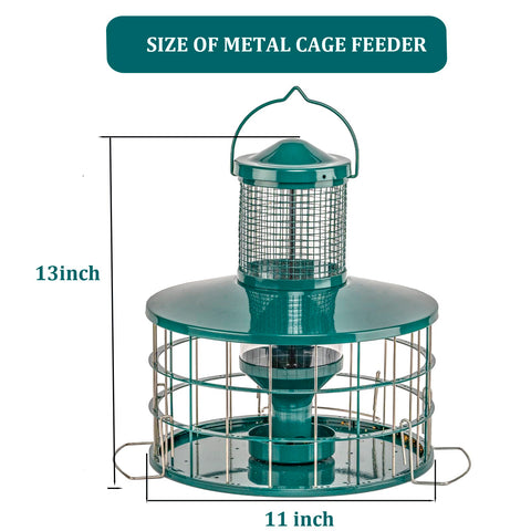 Backyard sanctuary: multiple birds visiting Mosloly feeder