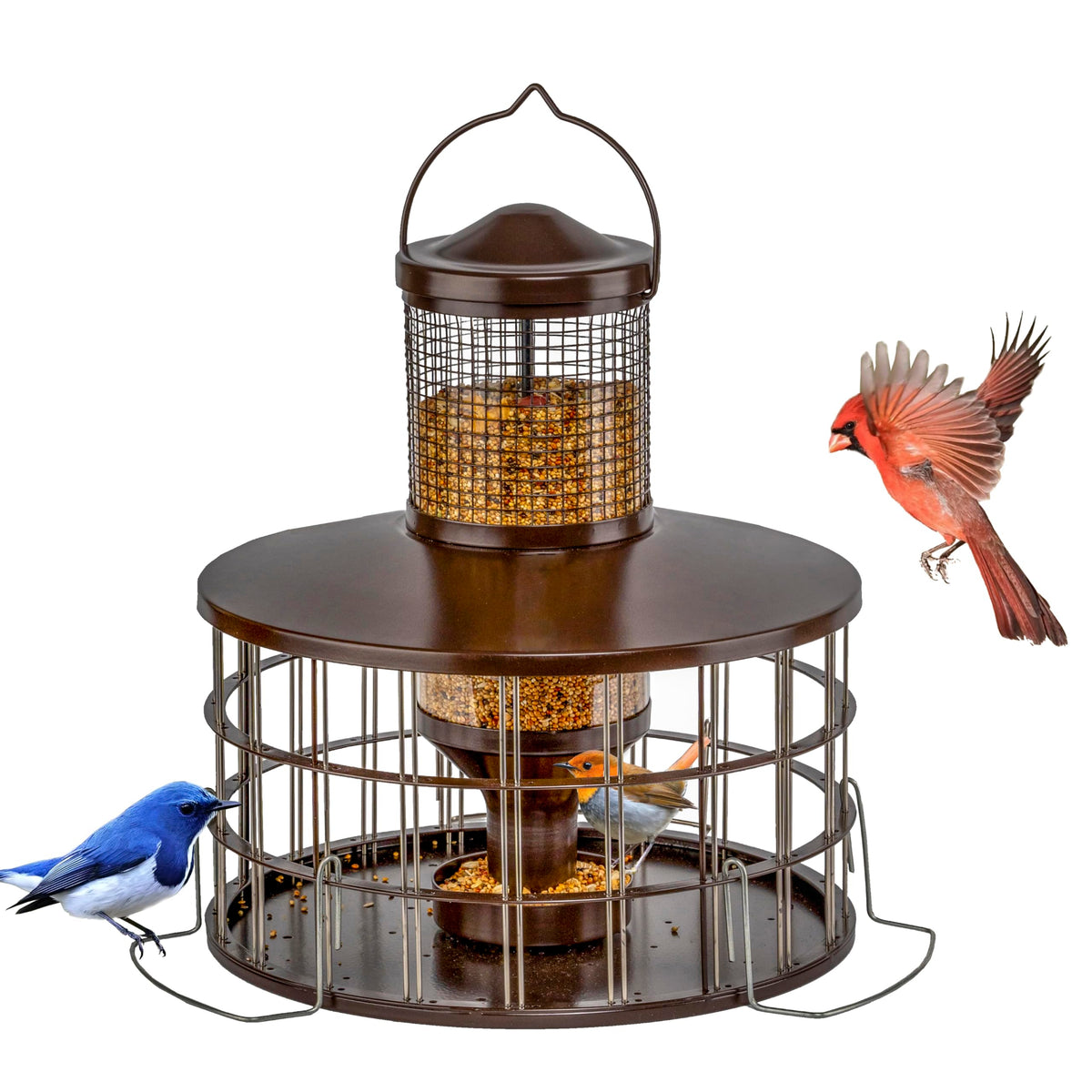 Mosloly upgraded squirrel-proof bird feeder copper tube attracts songbirds while showing seed levels.