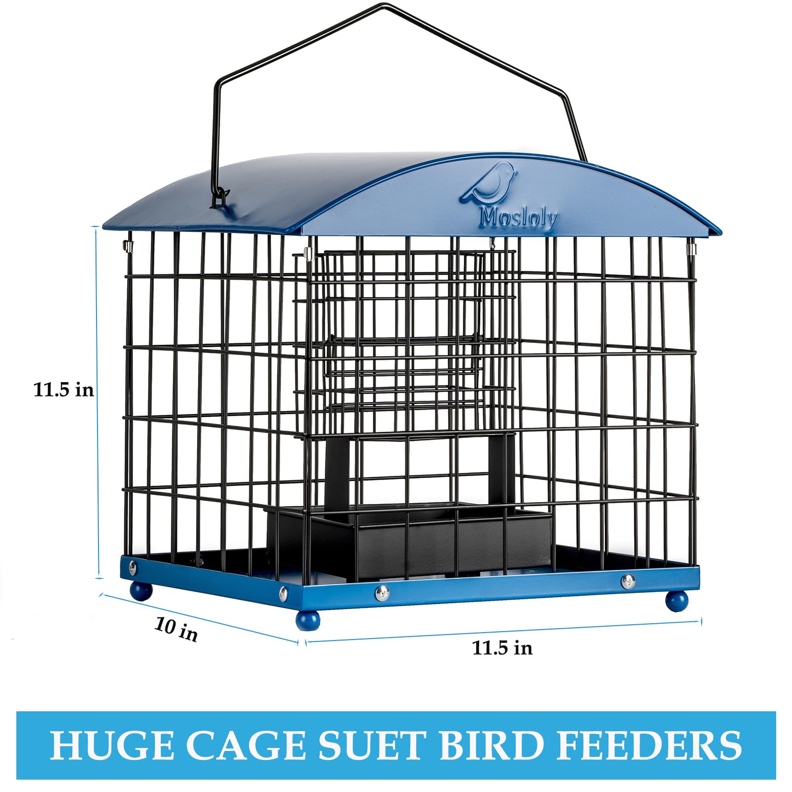 Mosloly yard bird attraction with multiple bird species visiting
