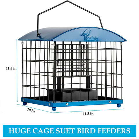 Mosloly yard bird attraction with multiple bird species visiting