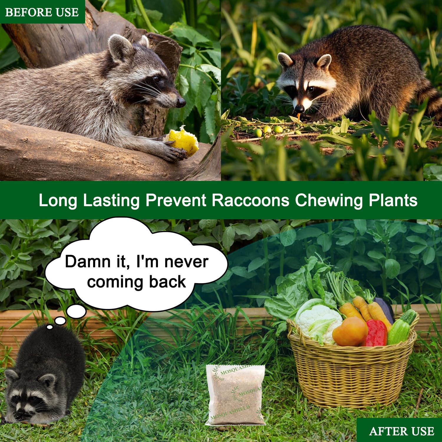 Placing Mosquashield bags near a trash bin to reduce raccoon visits.
