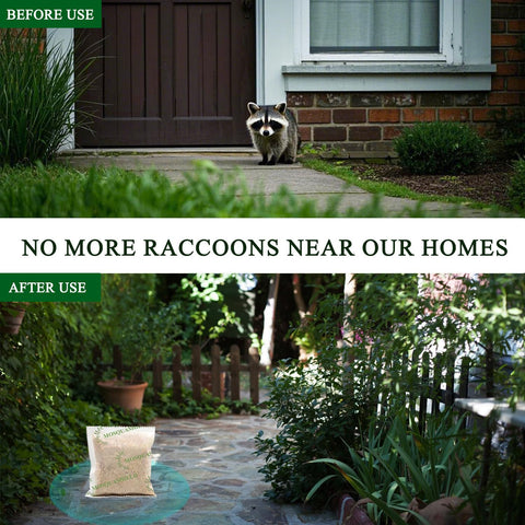 Mosquashield wintergreen oil formula used for outdoor raccoon protection.
