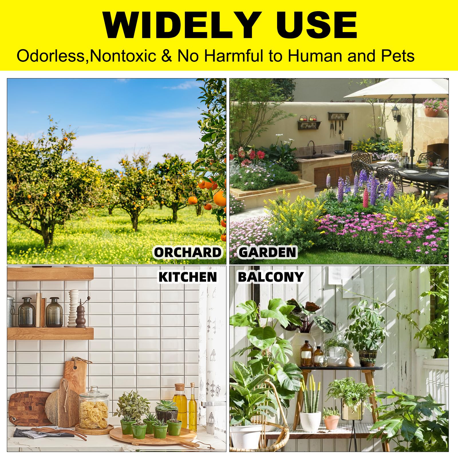 Mosqueda apple-shaped traps used outdoors protect potted herbs and vegetables from gnats