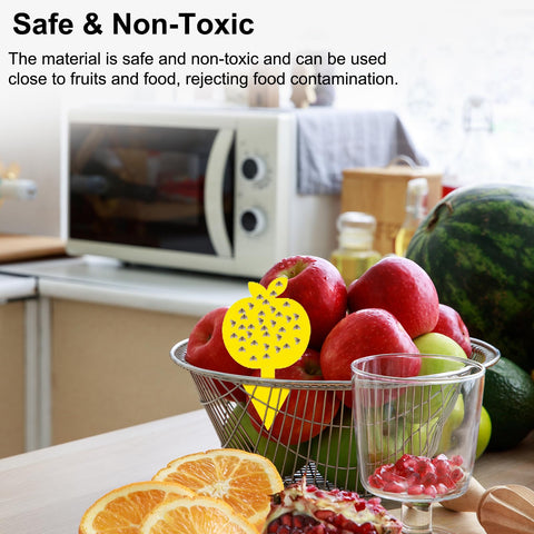 Mosqueda UV-resistant traps stay effective long-term without frequent replacements