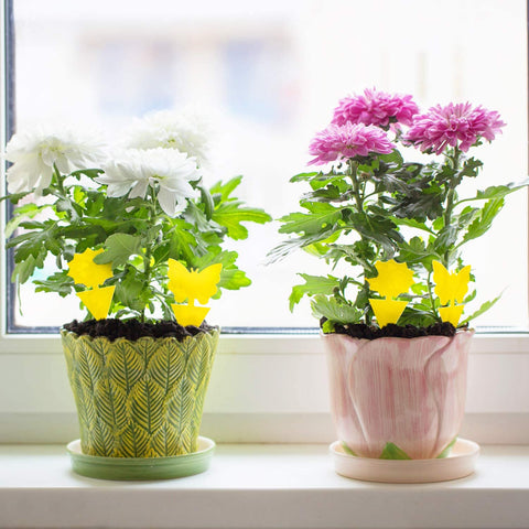 Mosqueda UV-resistant, waterproof traps stand up to outdoor use.