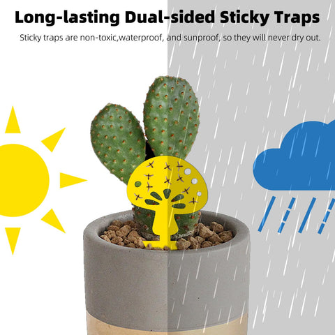 Mosqueda traps are non-toxic and safe around people and pets.