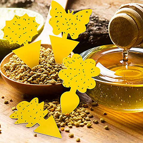 Mosqueda yellow traps attract flying insects; reduces plant pest bother indoors.